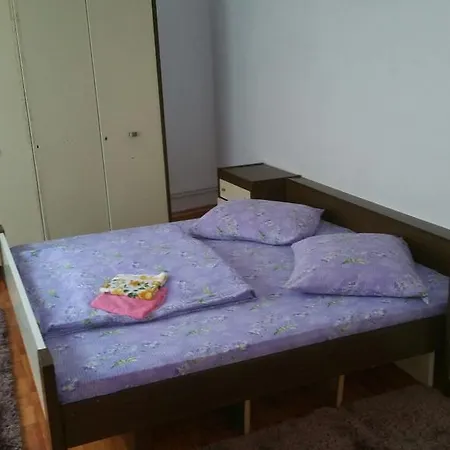 Casa Andra Pensión Cîrţişoara