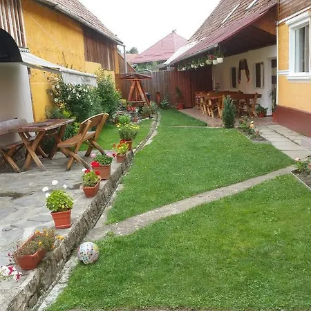 Casa Andra Cîrţişoara
