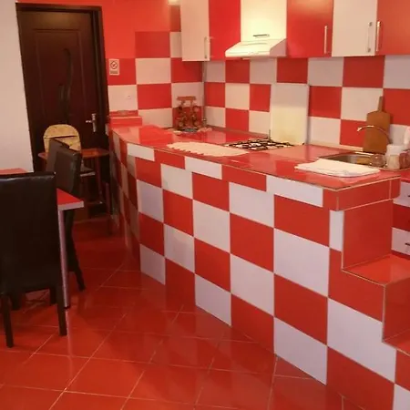 Casa Andra Pensión Cîrţişoara